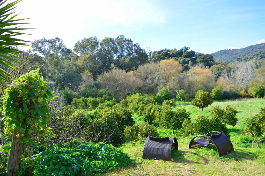 Casa Rural Ahora El Colmenar