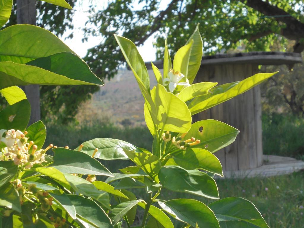 Pensión Sierra De Gata