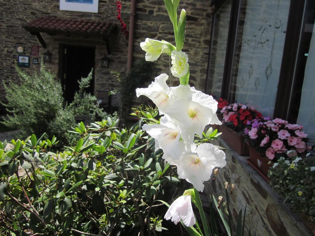 Casa Assumpta