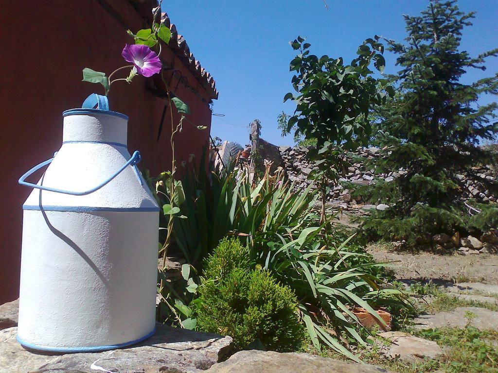 Casa Rural Pajaro Bobo