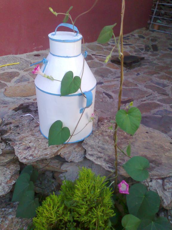 Casa Rural Pajaro Bobo