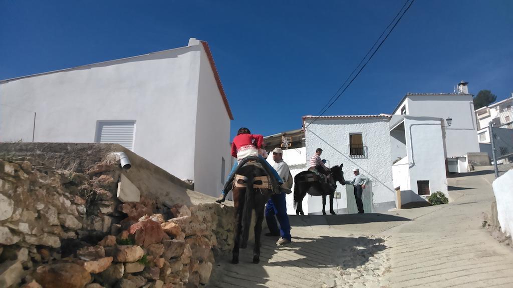 Hostal Albergue El Mirador De *