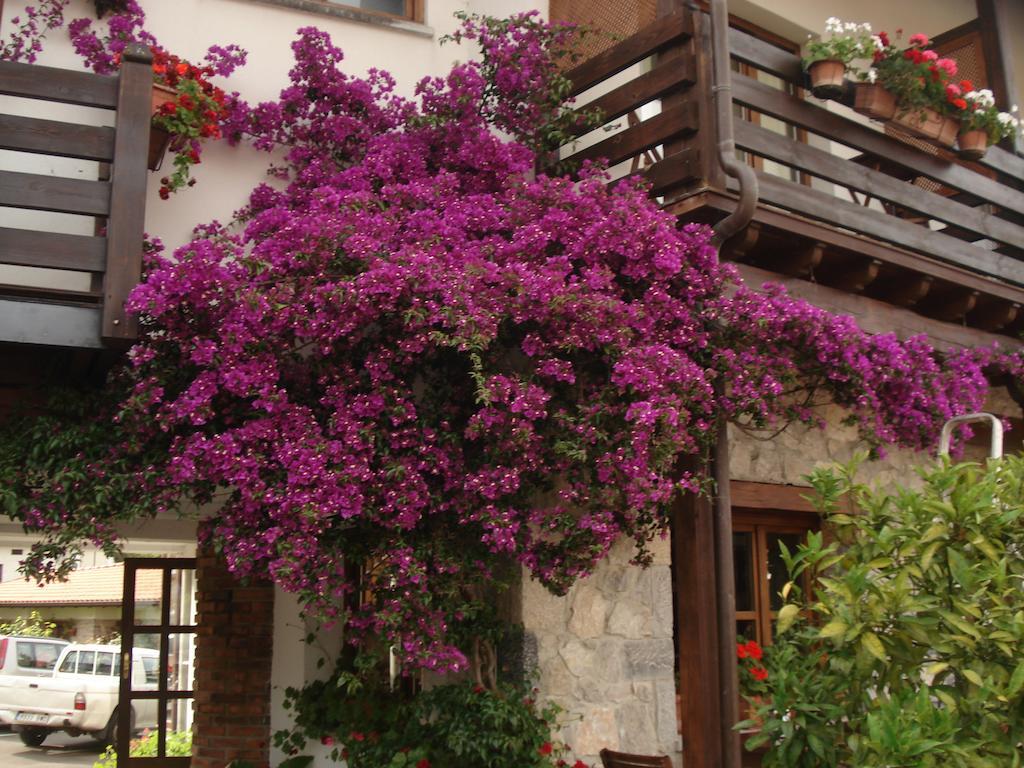 Hotel Moran Playa