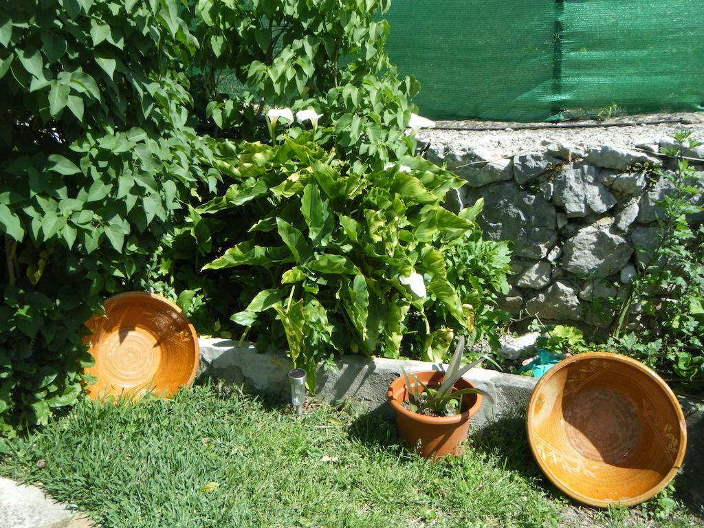 Casa Nani Benaocaz