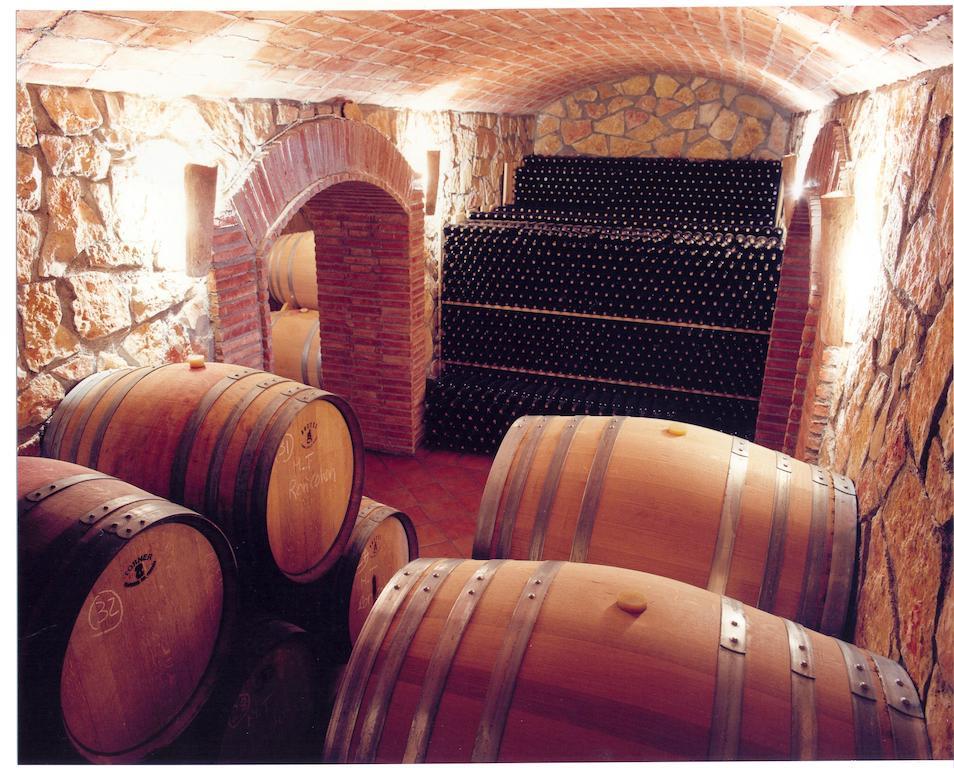 Apartamento Enoturismo Celler Piñol