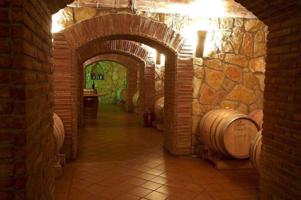 Apartamento Enoturismo Celler Piñol