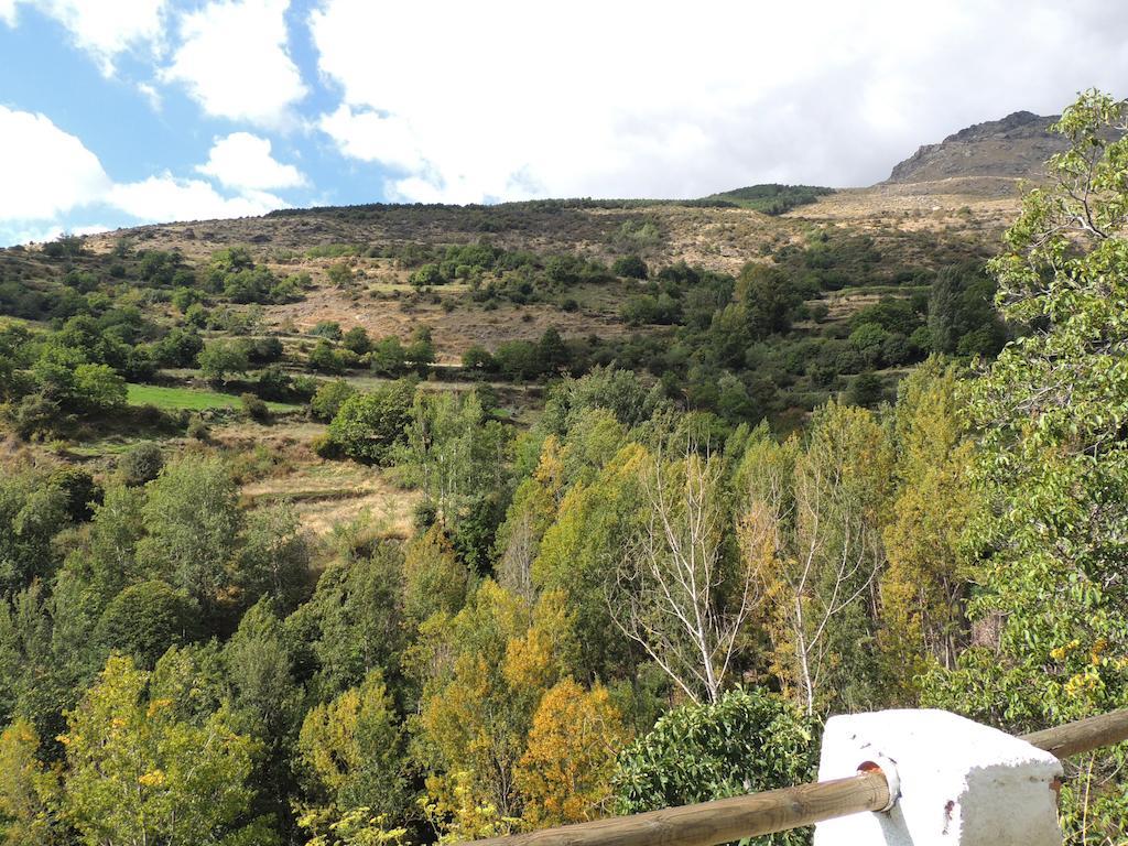 Casa-huerto La Juana