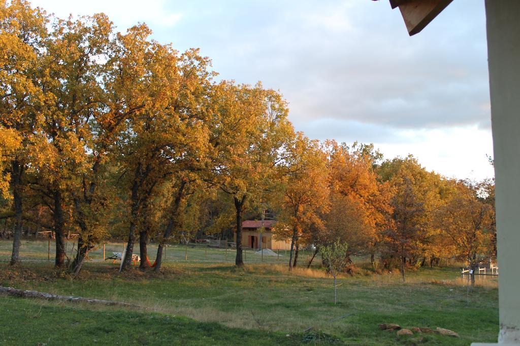 Farm stay Eco Urbion *