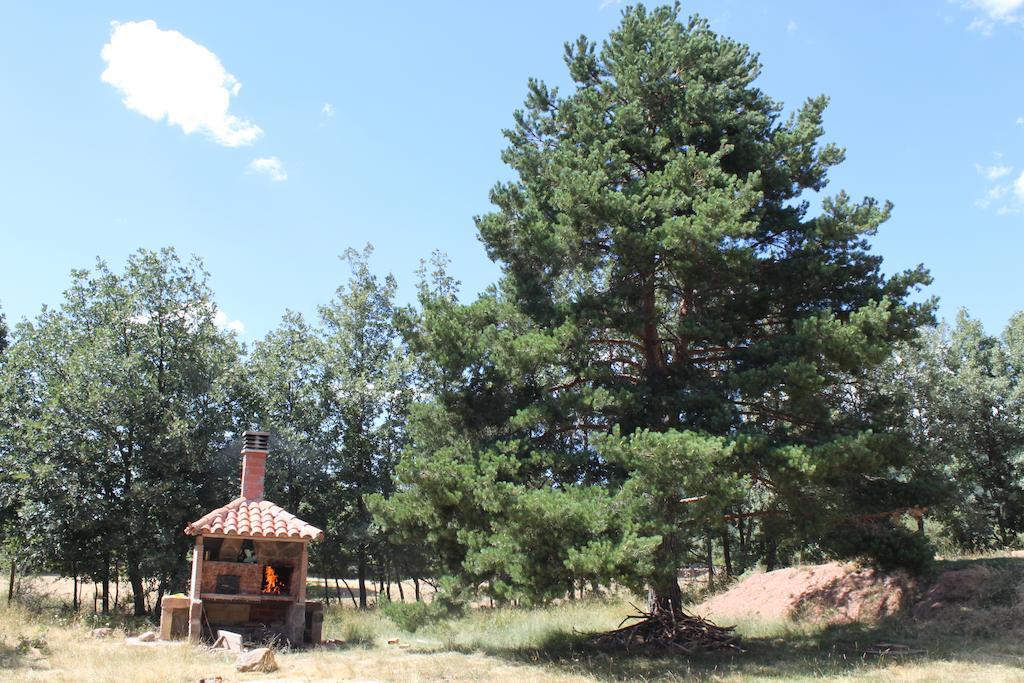 Farm stay Eco Urbion *