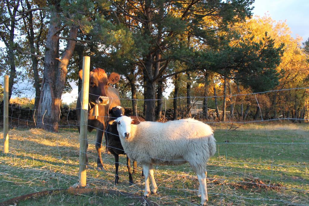 Farm stay Eco Urbion *