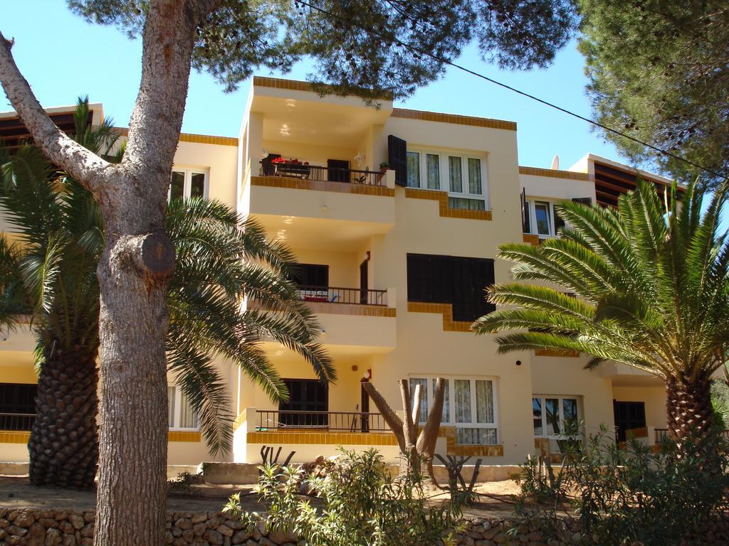 Pinos