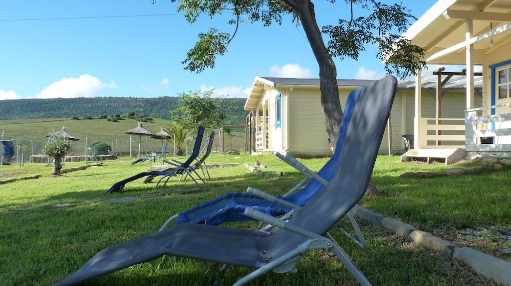 Maryvacas Rural