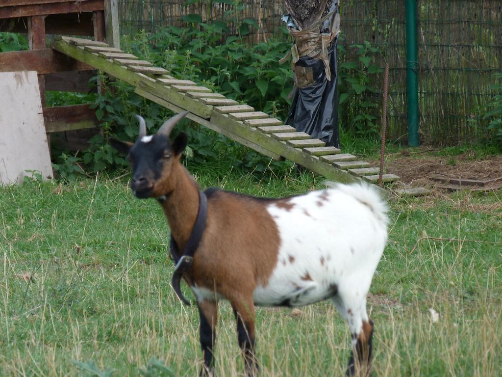 Сasa de vacaciones Fancornio Rural Zancornio