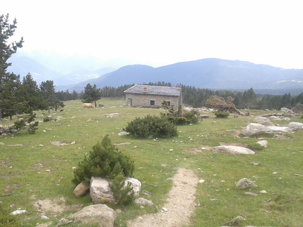 Fonda Domingo