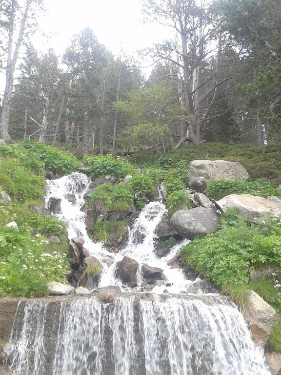 Pensión Fonda Domingo 4*