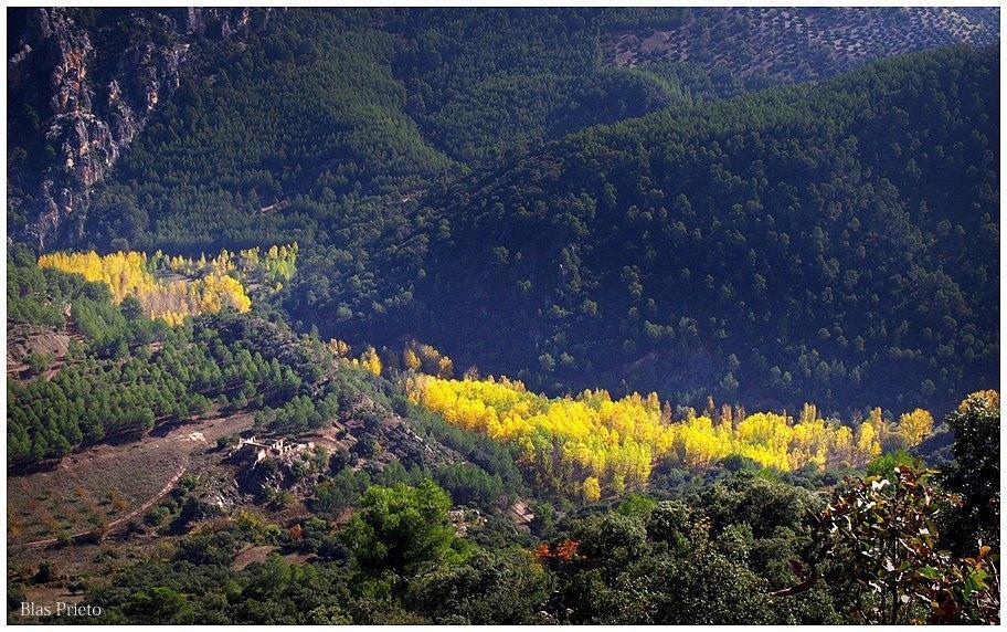 Turísticos Rurales Monte De ánimas