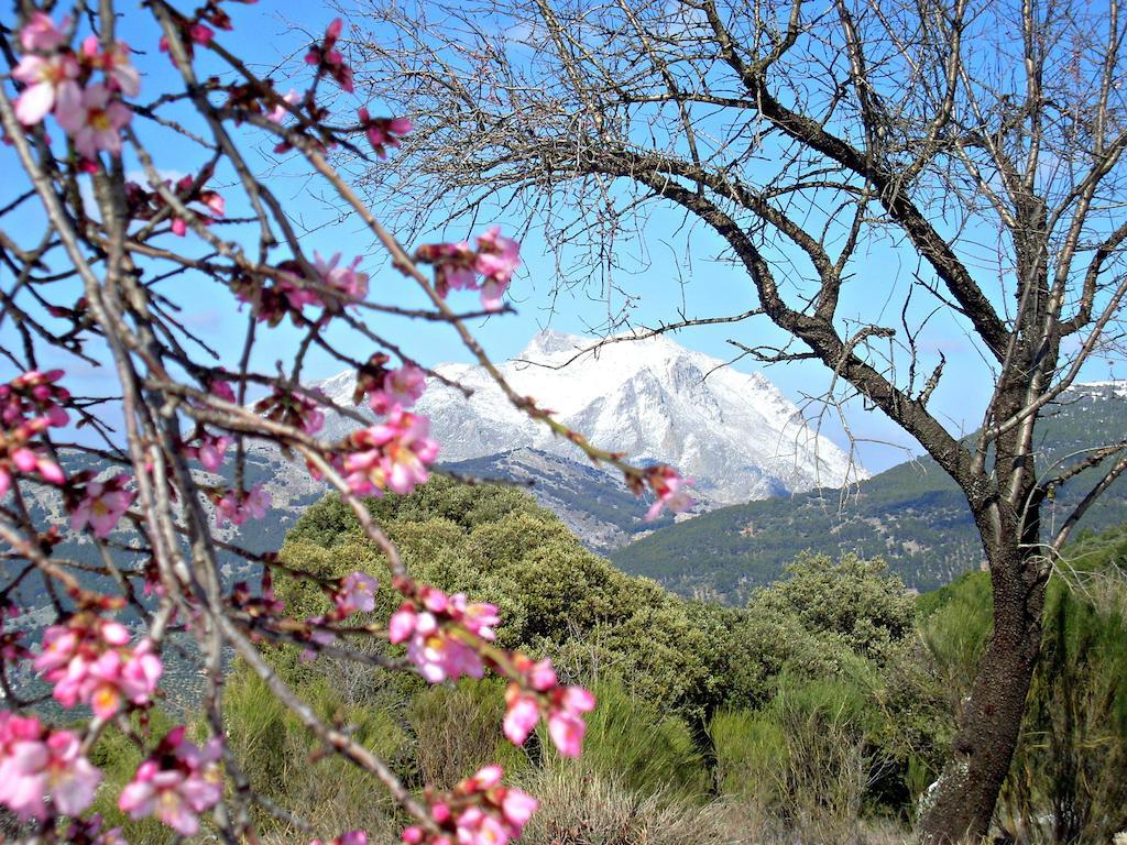 Country house Cortijos El Encinar Torres (Jaen)