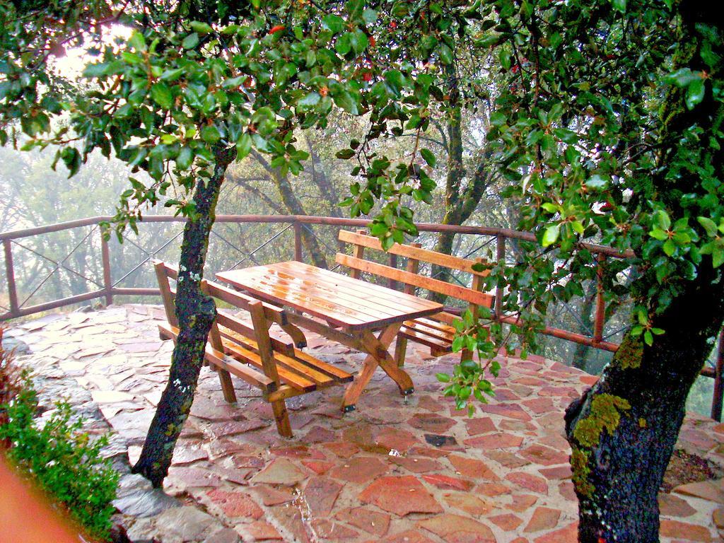 Cortijos El Encinar Torres (Jaen)