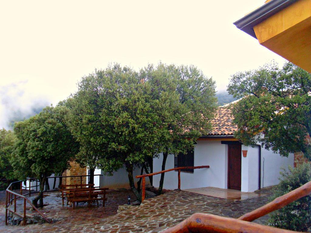 Cortijos El Encinar Torres (Jaen)