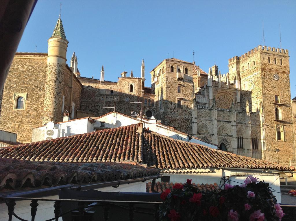 Cerezo 2 Guadalupe (Extremadura)