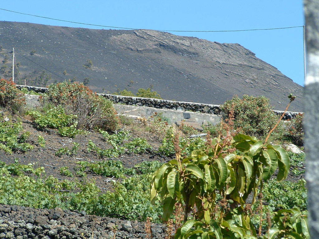 Country house Casa Vinas Fuencaliente de la Palma