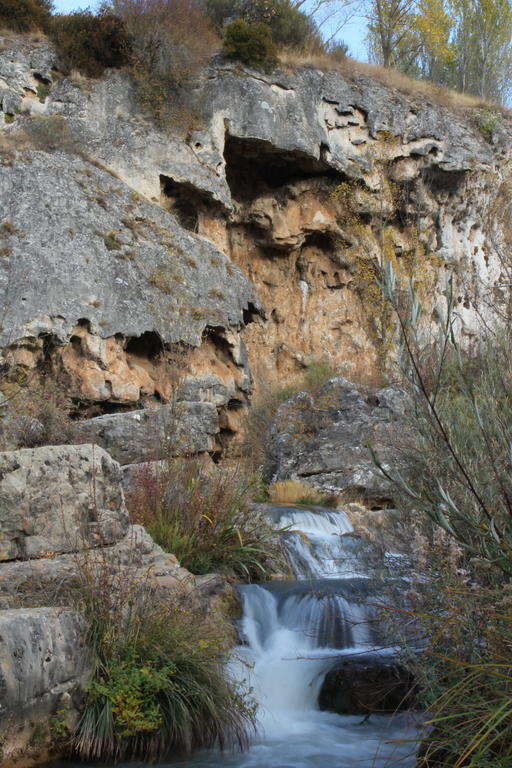El Rincón Del Juez Uña