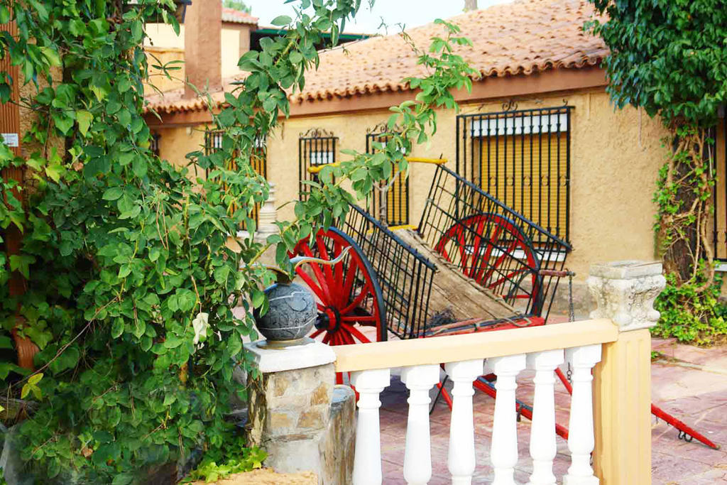Apartamento La Don Quijote *