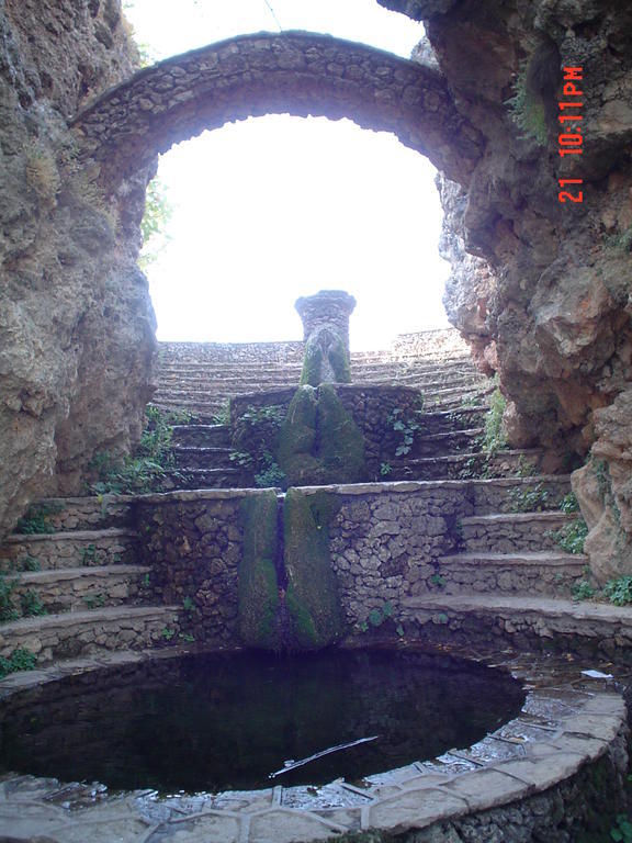 El Arranca