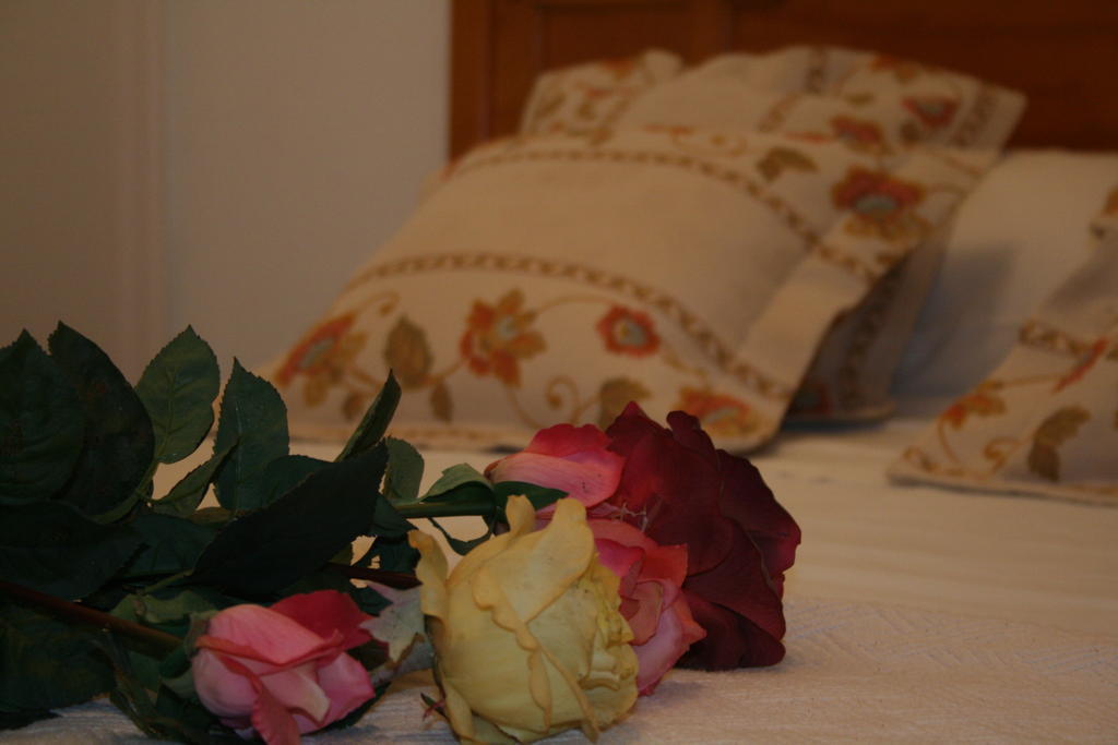 Guest house Isidro