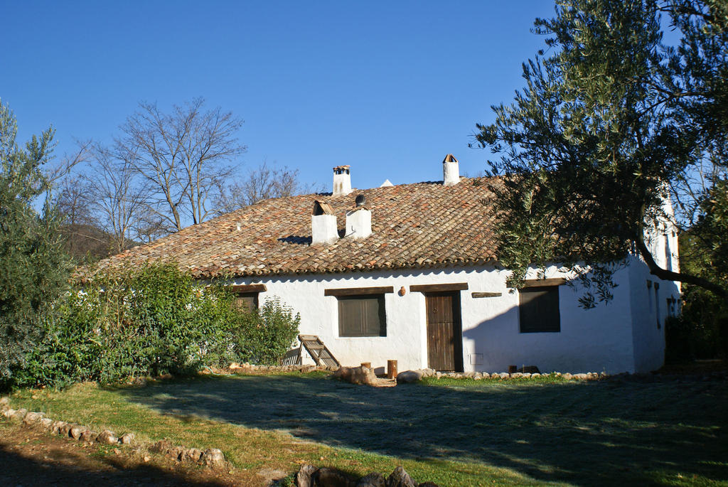 Cortijo Del Cura Cortijos Nuevos
