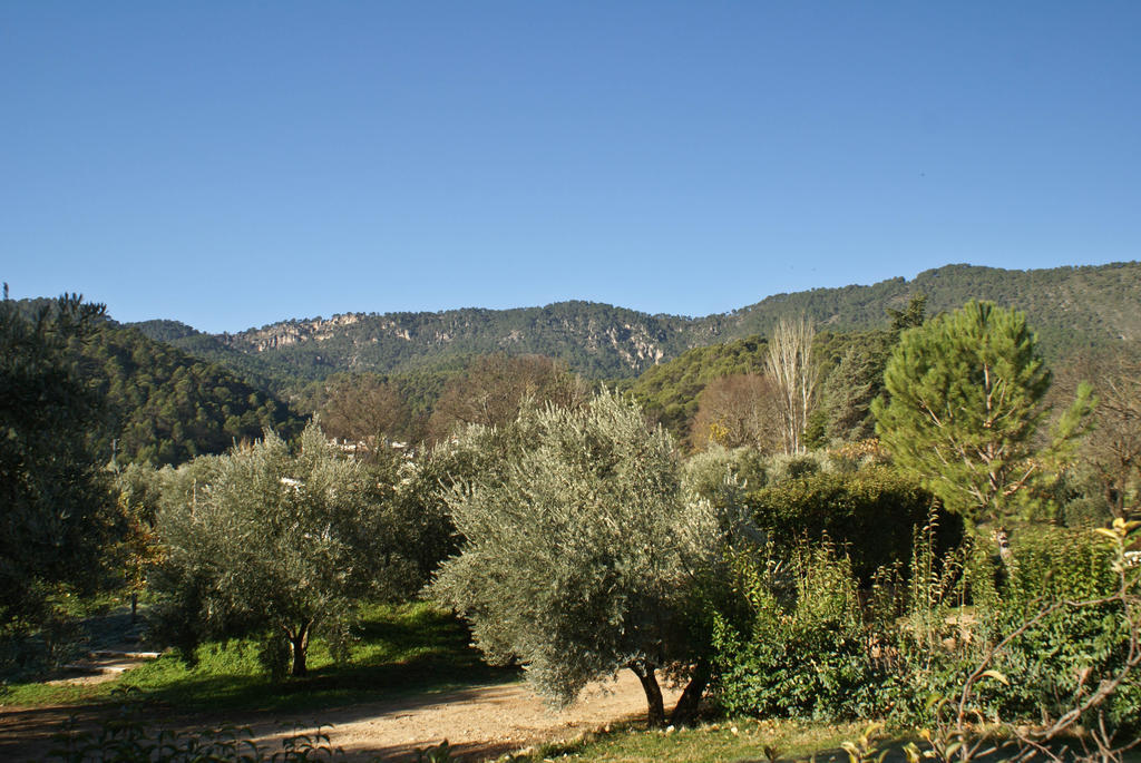 Country house Cortijo Del Cura *
