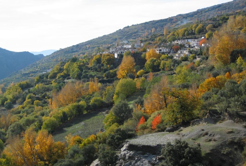 Bed & Breakfast Sierra Y Mar 3*