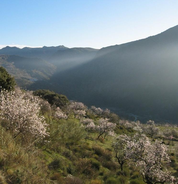 Bed & Breakfast Sierra Y Mar Ferreirola