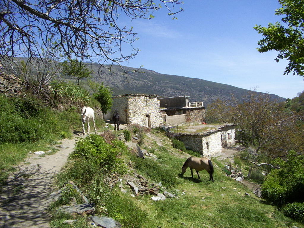 Bed & Breakfast Sierra Y Mar Ferreirola