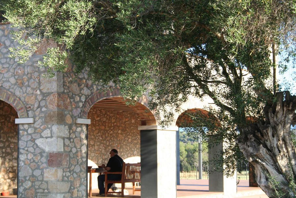 Hotel Mas Oliveres Pla De Palau 3*