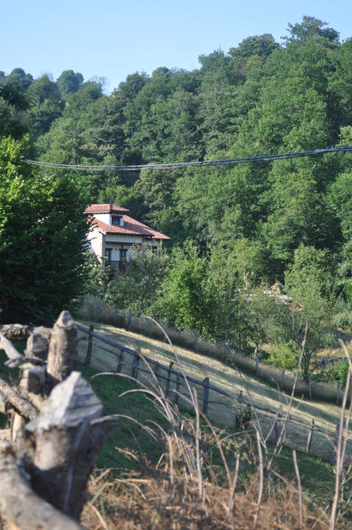 Casa rural La Casona De Palu *