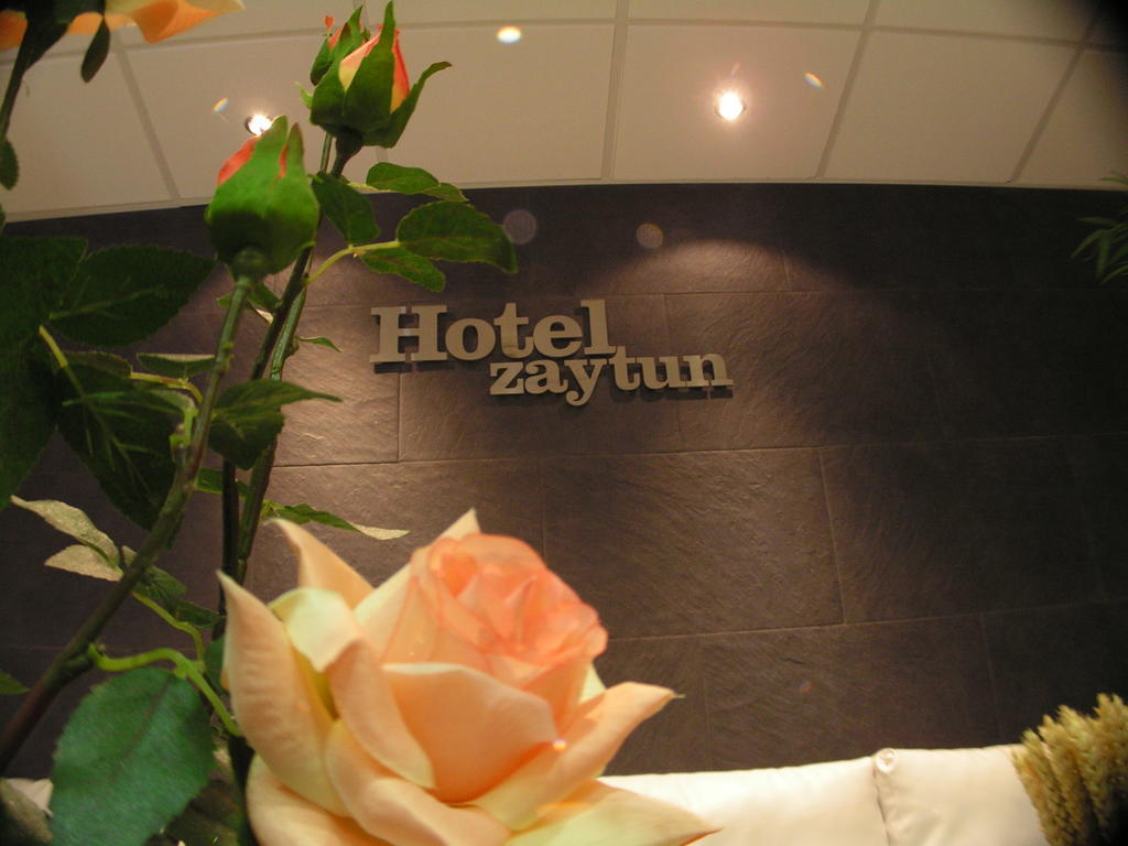 Zaytun Mequinenza