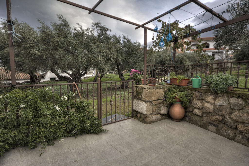 Apartamento Tia Antonia *