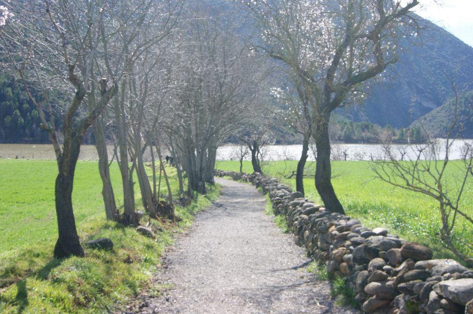Cal Remolins Coll de Nargo