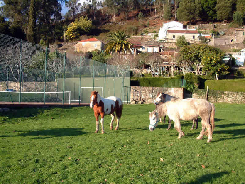 Granxa O Castelo