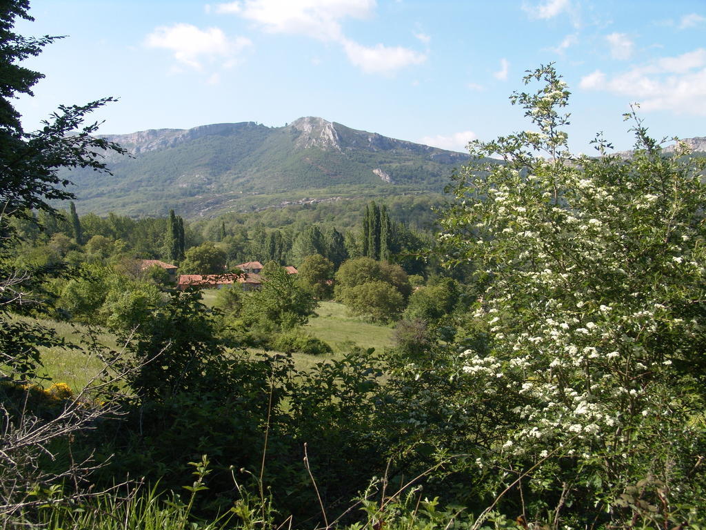 La Gándara