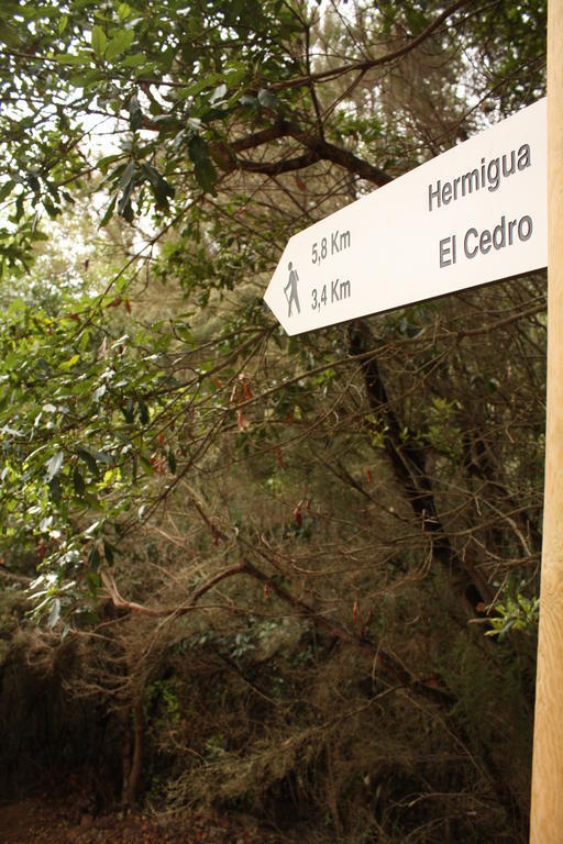 El Rincón De Antonia Agulo