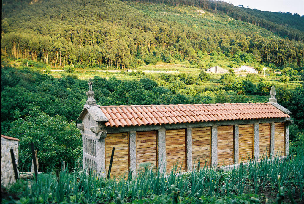 Budino De Serraseca