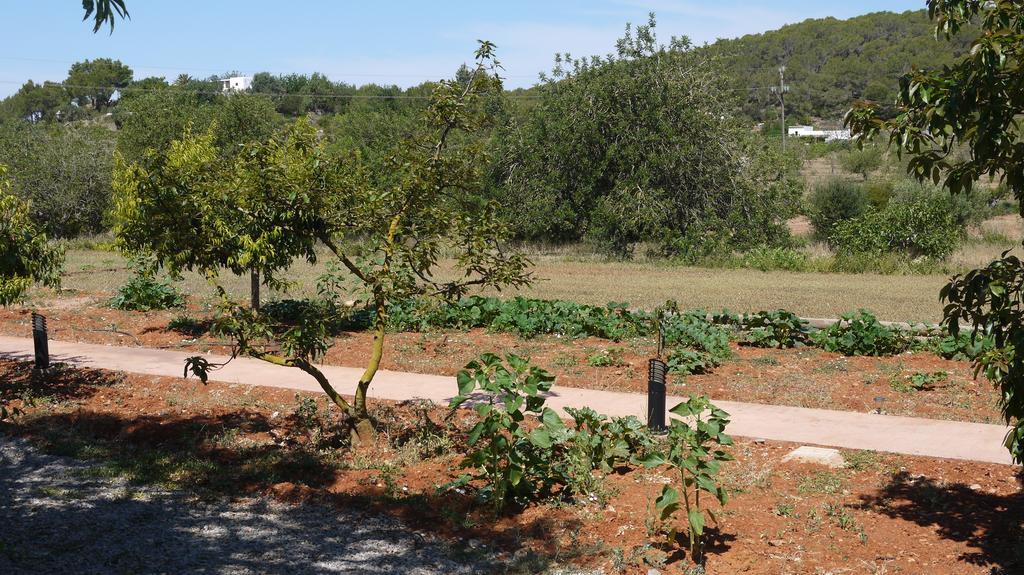 Сasa de vacaciones Gat Sant Carles de Peralta