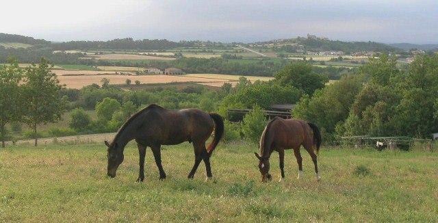 Granja Ecuestre Sort Báscara
