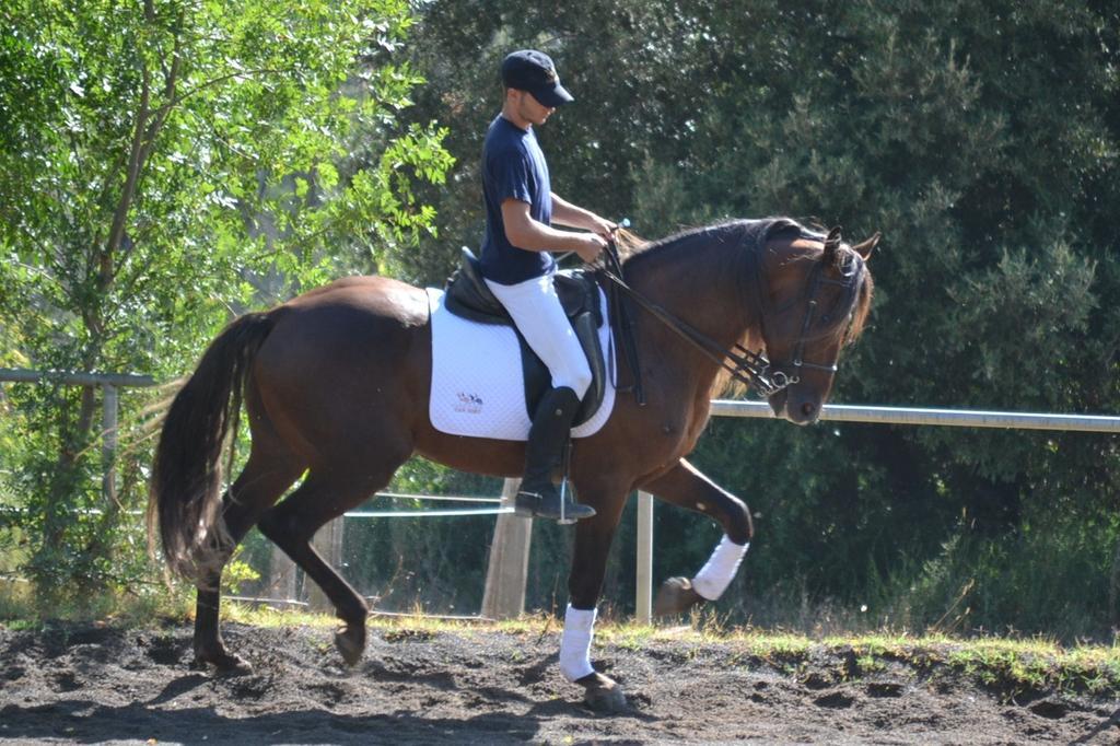 Granja Ecuestre Sort