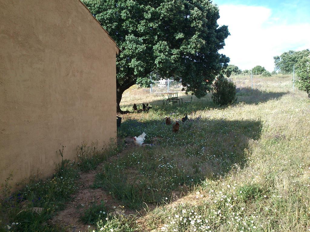 Country house La De Alcudia Brazatortas