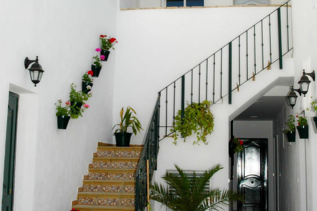Pensión Casa Pacheco *