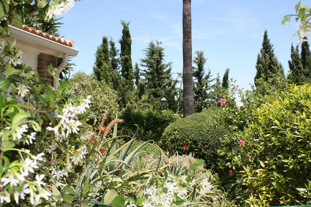 Bed and breakfast Cortijo Andaluz Alhaurín el Grande