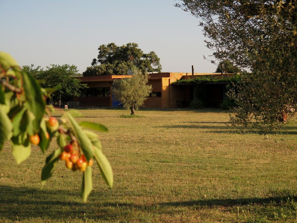 Fundacio L'olivar Ventallo